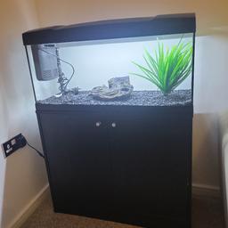 Fish tank seller sales