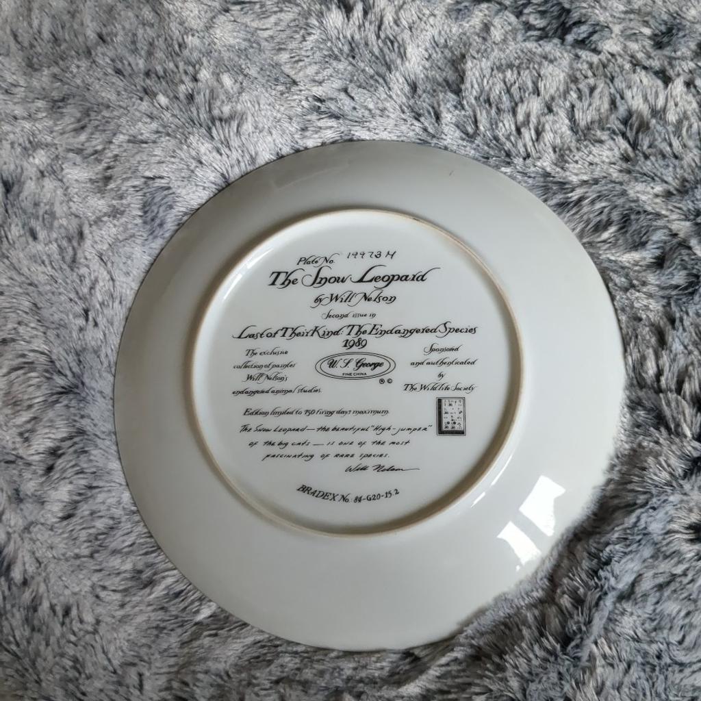fine china collectable plate