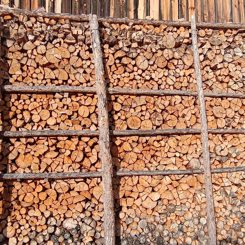Trockenes Brennholz, Fichte/Föhre
25cm
Raummeter 100€