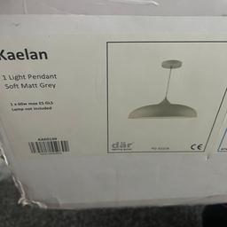 Brand new in box kaelan light pendant