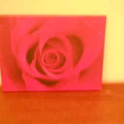 Verkaufe ein Rosenbild ,39,5 X 29,5 X 1,8 cm auf einer Holzplatte , wie abgebildet gebraucht in gutem Zustand.

Abholung täglich möglich
Versand 6 €