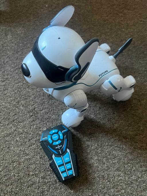 Buy & Sell Bedfordshire Luton - Photos for Control Robot Dog