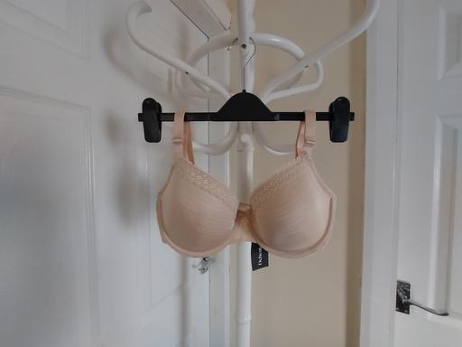 Buy & Sell Lancashire Pendle - Photos for Bra“Debenhams”Underwired Size: 32E (UK)