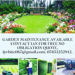 local gardener with 30 years experience offering garden maintenance services if you've a garden in need of work I can help.  Bookings for 2024 now being taken free quotes and discounts for oap. prices from £20