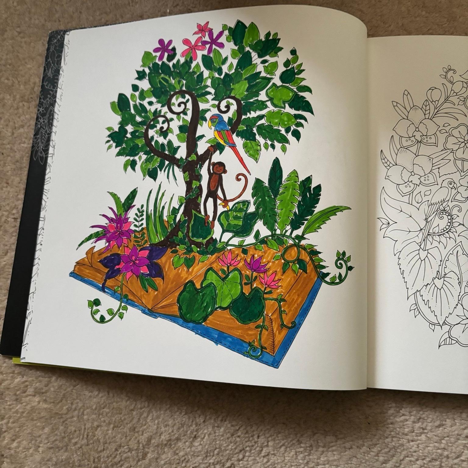 Magical Jungle: An Inky Expedition And Colouring Book – A Review | Colouring In The Midst Of Madness - Foto 2