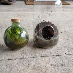 two terrariums one small one large, one tub of accessories and a book, the small one was £35 alone