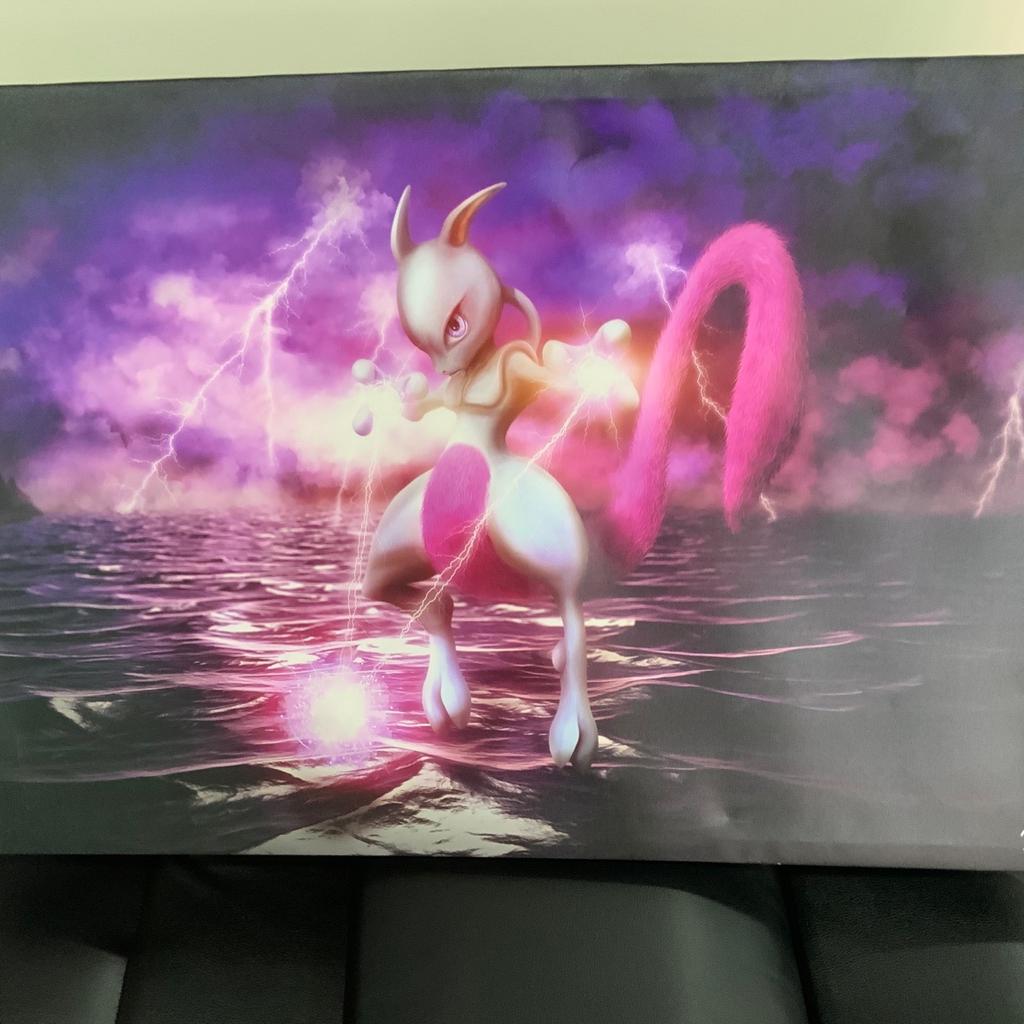 Beautiful Pokemon canvas picture
30 inches x 20in