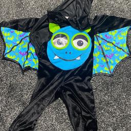 Bat Halloween costume. Size 3-4 years. Smoke & pet fee home. Collection only.