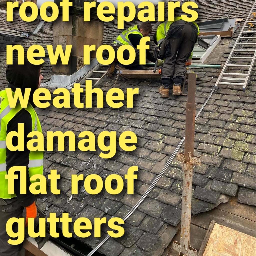 ROOFING SERVICES AND MAINTENANCE roofing repairs,roof cleaning, moss removal,roof leaks, Pointing,repointing,lose tiles, Ridges,flat roof,gutters, 13 year experience Over 100 reviews Fair and reliable prices Tudorhomerepairs@gmail.com Call or text me on 07553430391 07553430391