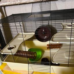 Käfig für Mini Hamster
60x35xH46
Mit Tunnel aus Hartplastik braun und Futterschüssel, Hamsterrad und grüne Ecksandkiste
Komplett