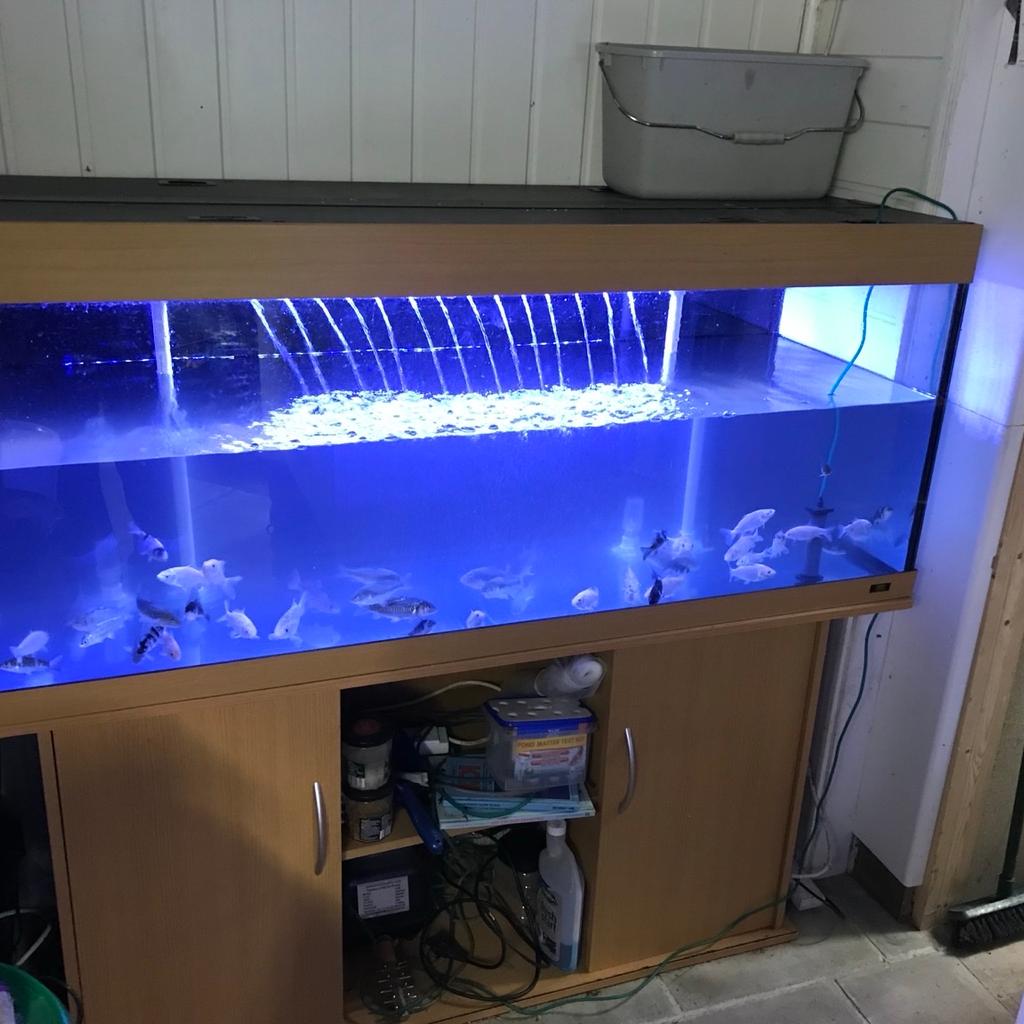This is a a large aquarium
Size 60 inch long
 24 inch high
 20inch wide
It has 2 bottom filters gravel and light
And a cabinet
Buyer to collect £300 cash only