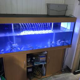 This is a a large aquarium 
Size 60 inch long
         24 inch high 
         20inch wide 
It has 2 bottom filters gravel and light 
And a cabinet 
Buyer to collect £300 cash only
