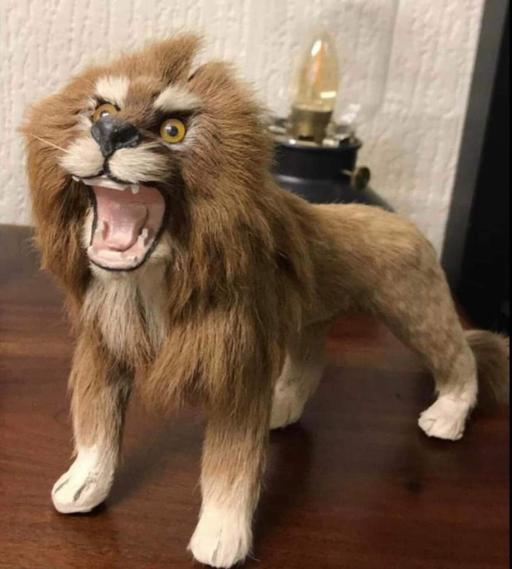 Buy & Sell Peckham South East London - Photos for Lion, Plush, Taxidermy Style, Doll,