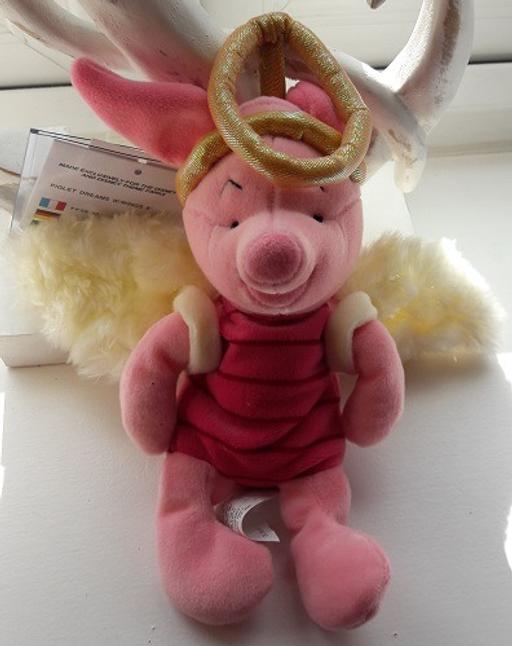 Buy & Sell Essex Southend-on-Sea - Photos for PIGLET DREAMS WINGS 8