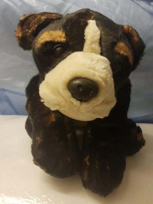 Buy & Sell Nottinghamshire Ashfield - Photos for Soft toy dog