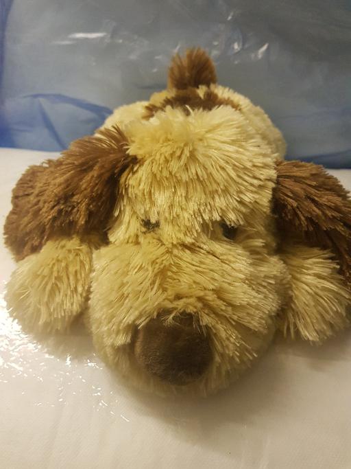 Buy & Sell Nottinghamshire Ashfield - Photos for Soft toy dog