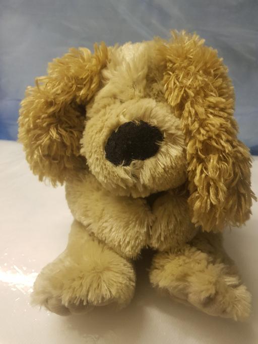 Buy & Sell Nottinghamshire Ashfield - Photos for Soft toy dog