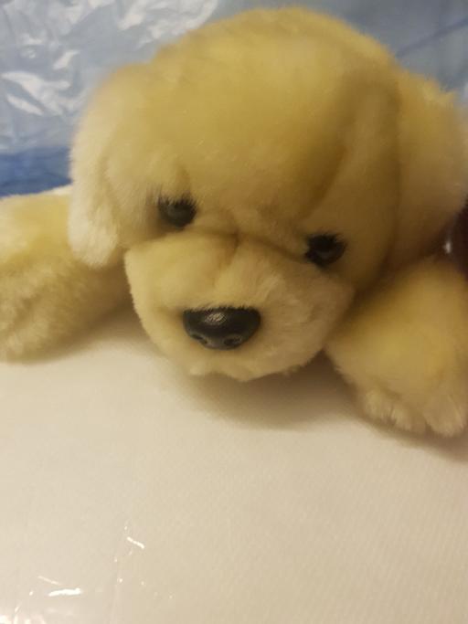 Buy & Sell Nottinghamshire Ashfield - Photos for Soft toy dog