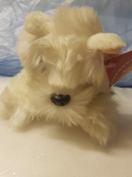 Buy & Sell Nottinghamshire Ashfield - Photos for Soft toy dog