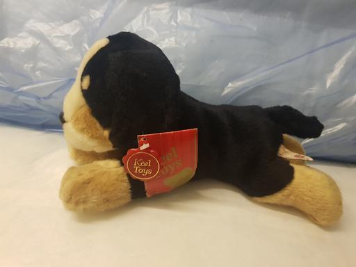 Buy & Sell Nottinghamshire Ashfield - Photos for Soft toy dog