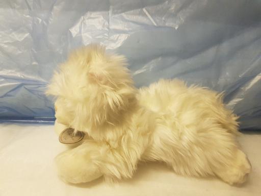 Buy & Sell Nottinghamshire Ashfield - Photos for Soft toy cat