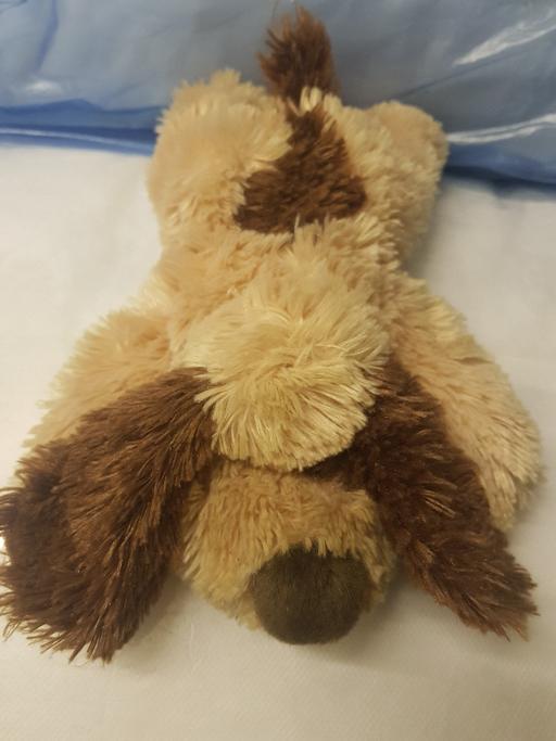 Buy & Sell Nottinghamshire Ashfield - Photos for Soft toy dog