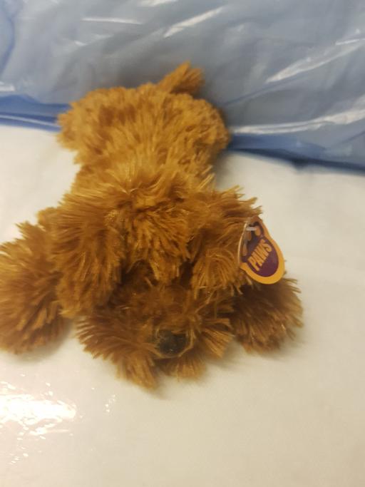 Buy & Sell Nottinghamshire Ashfield - Photos for Soft toy dog