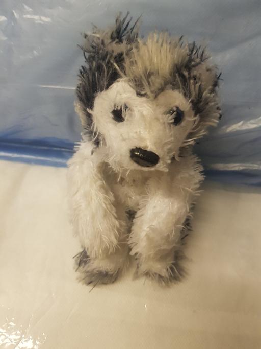 Buy & Sell Nottinghamshire Ashfield - Photos for Soft toy dog