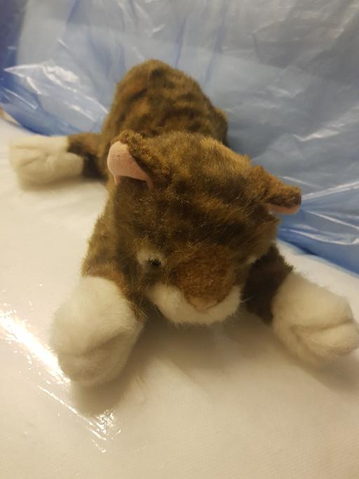 Buy & Sell Nottinghamshire Ashfield - Photos for Soft toy cat