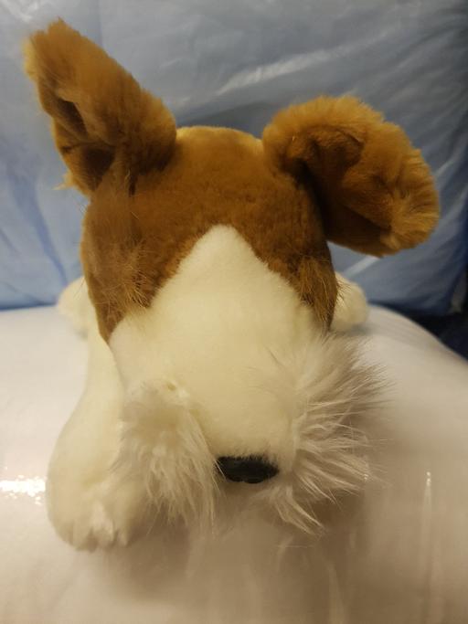 Buy & Sell Nottinghamshire Ashfield - Photos for Soft toy dog