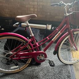Pinnacle californium 20 inch cheap