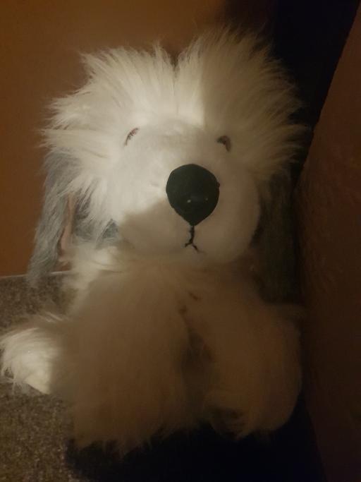 Buy & Sell Nottinghamshire Ashfield - Photos for Old English sheep dog soft toy