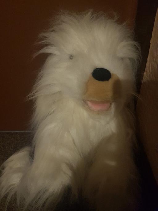 Buy & Sell Nottinghamshire Ashfield - Photos for Old English sheep dog soft toy puppet+ barks