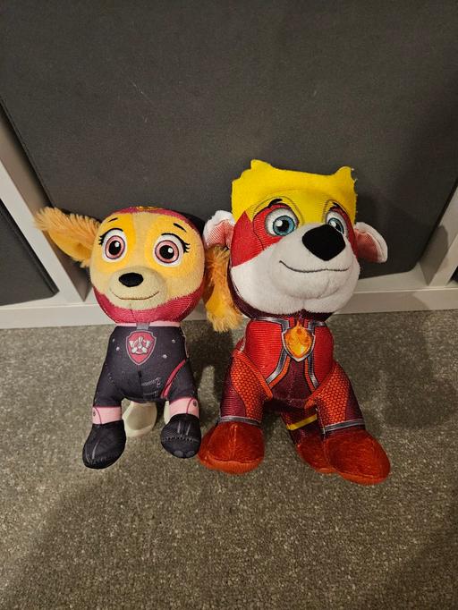 Buy & Sell Kent Dartford - Photos for Paw Patrol