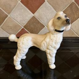 Cream coloured poodle ceramic figurine 
20 cm high
From smoke free home
Collection only mere green area