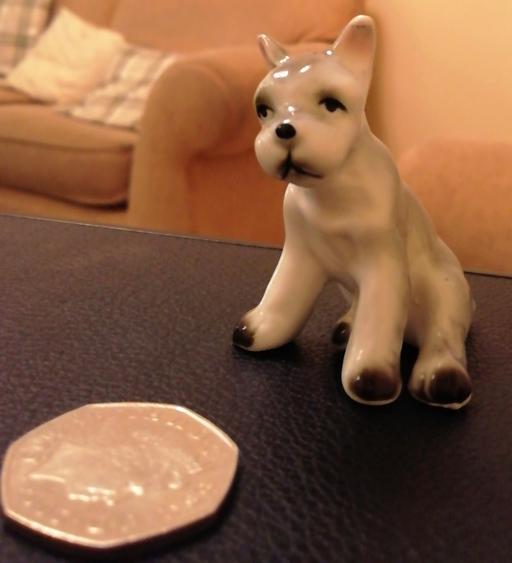 Buy & Sell Nottinghamshire Ashfield - Photos for Ceramic Curio Dog