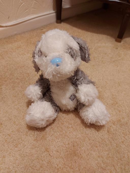 Buy & Sell West Midlands Birmingham - Photos for me to you soft toy dog