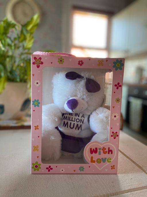 Buy & Sell Denbighshire - Wales Bryn Newydd - Denbighshire - Photos for One In A Million Mum Teddy Bear