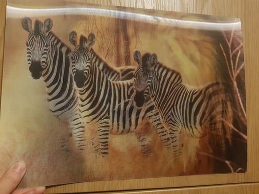 Buy & Sell Nottinghamshire Ashfield - Photos for Changing picture (Zebras and Lions)