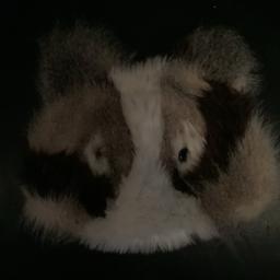 Furry animal hat,brand new with tags