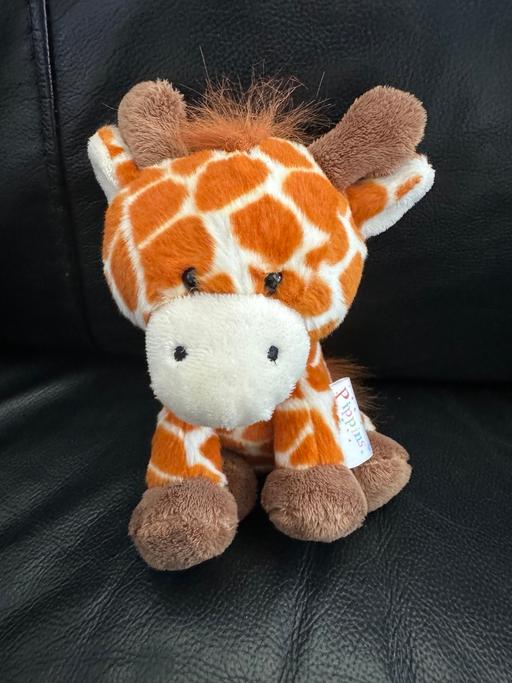 Buy & Sell County Durham Willington - County Durham - Photos for Giraffe Soft Tot