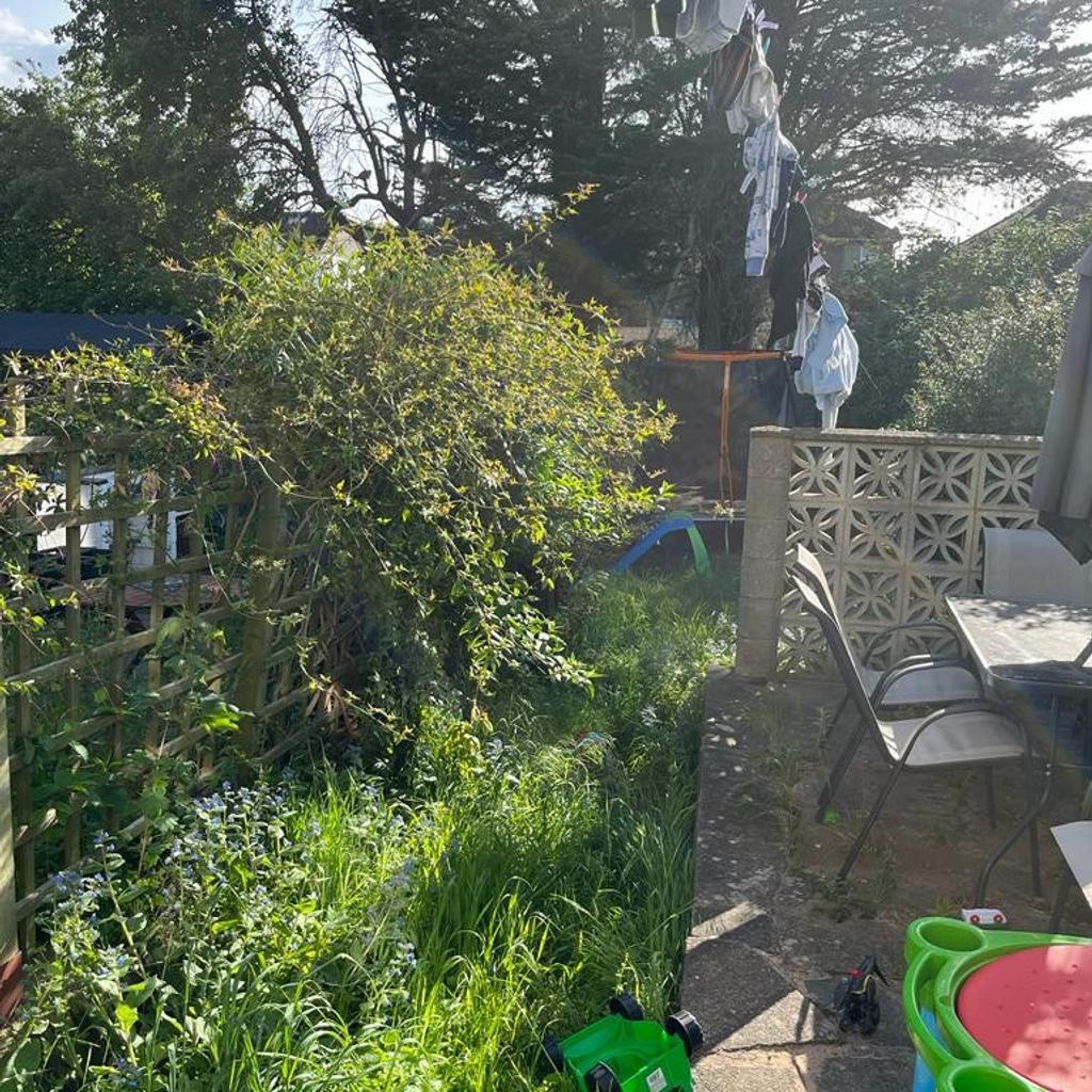 Gardening Services Available

Lawn Mowing
hedge trimming
weeding
tree topping
pressure washing

book your garden in for a spring clean
call today

07379225861