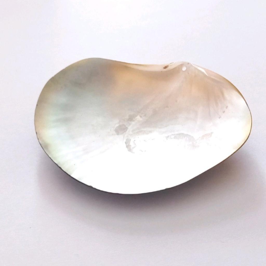 Large high quality shell pendant with natural pearled effects.

For jewellery making and other art and design projects.

Pendant measures approximately 70mm x 60mm x 3mm

Top drilled.

Completely brand new.

If there are any questions, please feel free to message me 🙂

#LargePendant
#NaturalShellPendant
#JewelleryPendant
#JewelleryMaking
