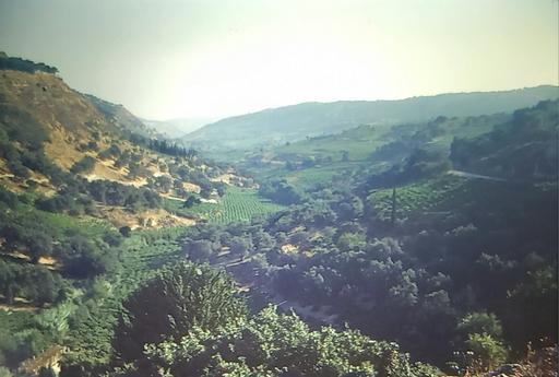 Buy & Sell Merseyside Saint Helens - Photos for vintage kodachrome photo siva vineyards crete