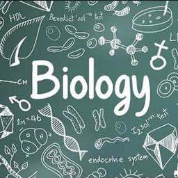 Struggling in the final months before your A Levels? Looking to get the best possible grade in your biology? I am a Scientist turned Teacher, contact me for further information and to discuss how we can work together.