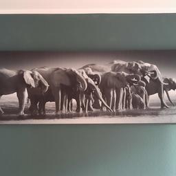 Leinwand mit Elefanten siehe Bilder 
Preis VHB 
Abholung in Eningen