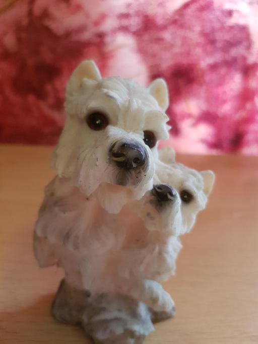 Buy & Sell Nottinghamshire Ashfield - Photos for Dog ornament