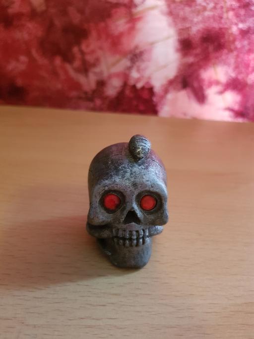 Buy & Sell Nottinghamshire Ashfield - Photos for Skull ornament