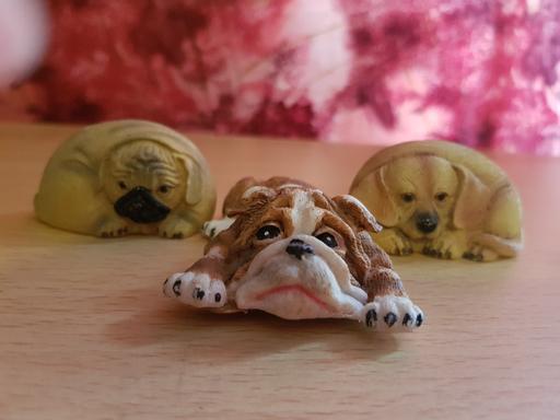 Buy & Sell Nottinghamshire Ashfield - Photos for Dog ornaments