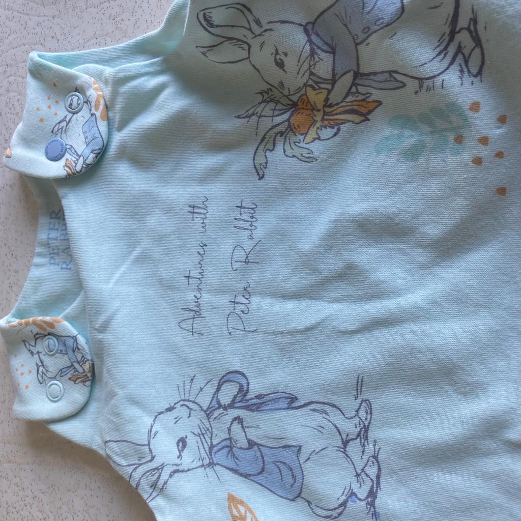 2 baby sleeping gowns
One summer Peter rabbit
One winter woodland animals
Great condition summer one never used
0-6 months
Collection only